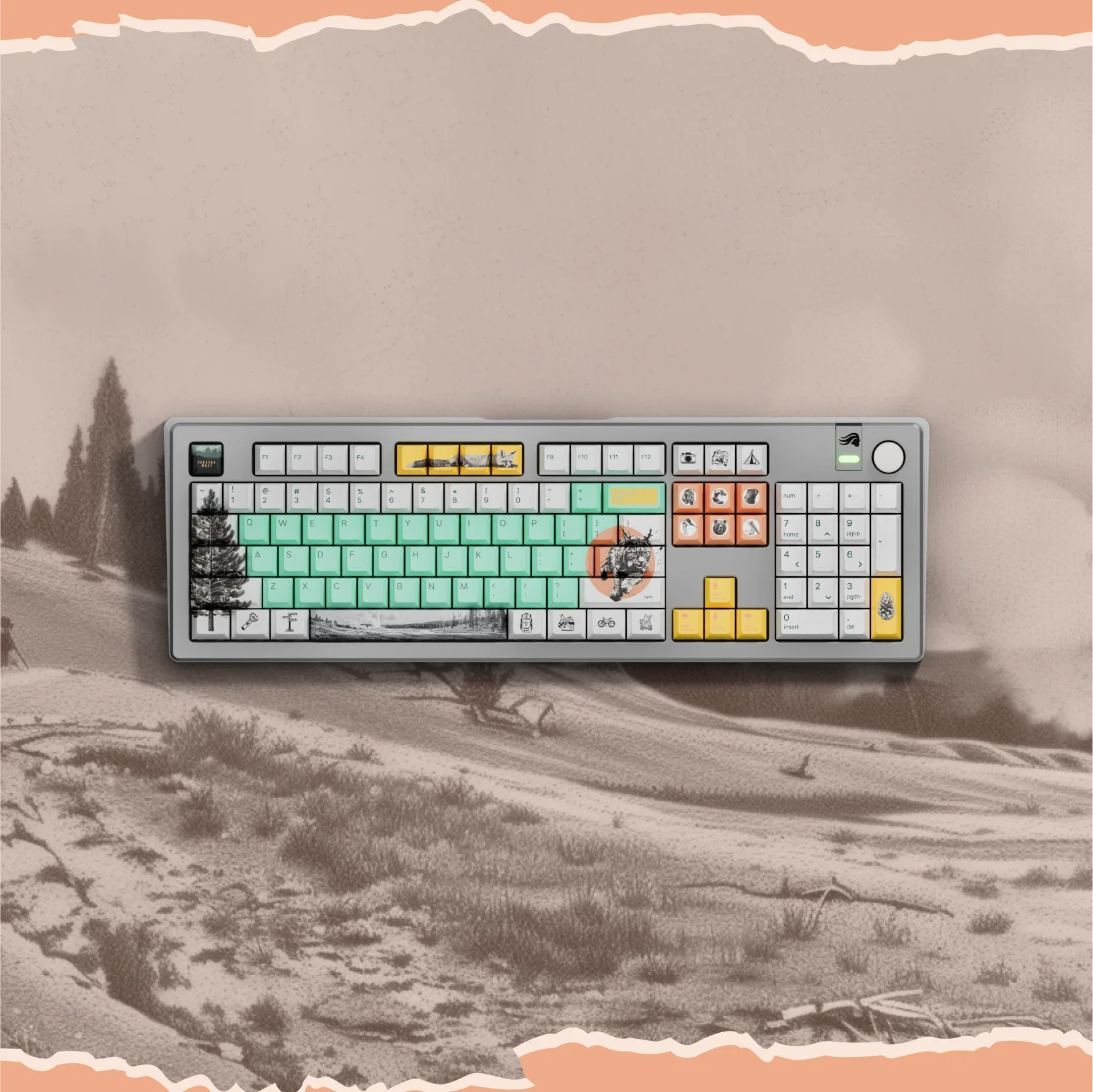 Thumbnail 17