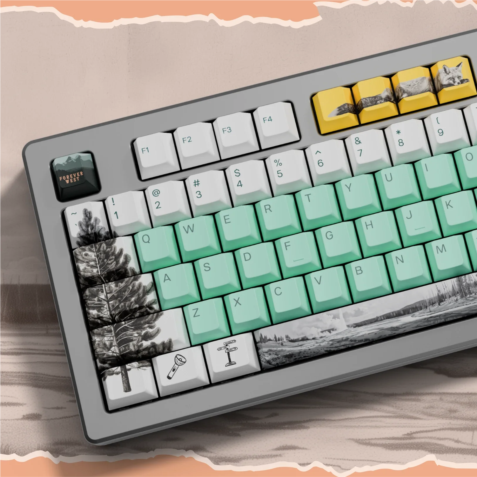 Thumbnail 19